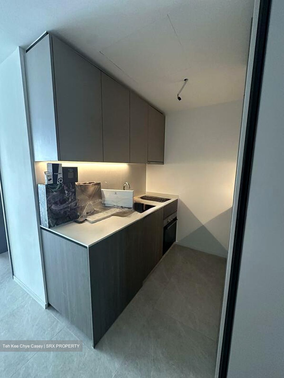 Piccadilly Grand (D8), Apartment #503332501